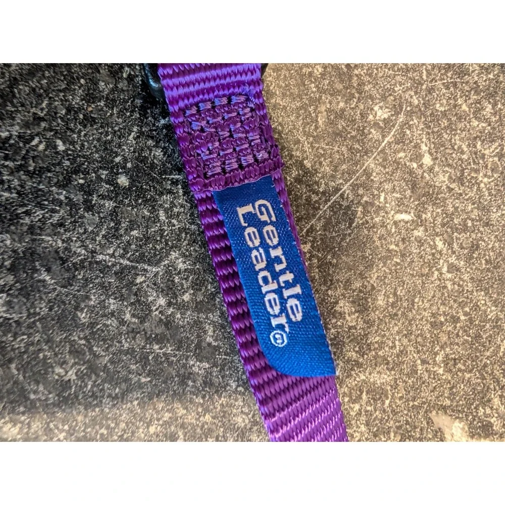 PetSafe Gentle Leader Headcollar Deep Purple Large 60-130 lb Dog Training Collar